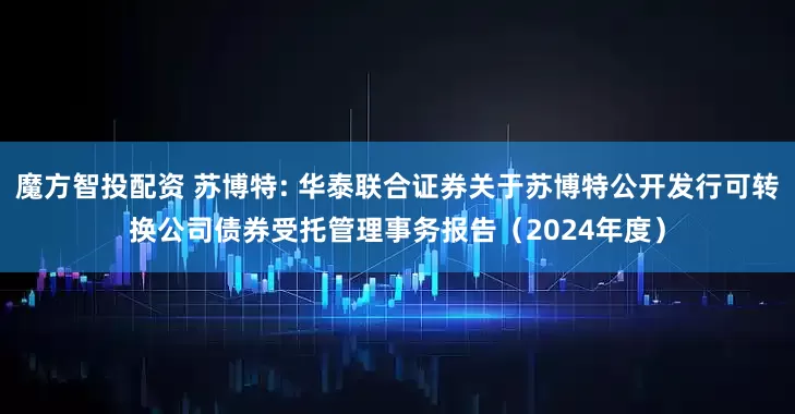 魔方智投配资 苏博特: 华泰联合证券关于苏博特公开发行可转换公司债券受托管理事务报告（2024年度）